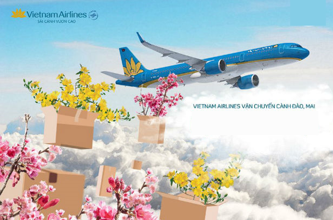 Vietnam Airlines cung cấp dịch vụ đặt mua qua website và vận chuyển mai đào đến Hà Nội hoặc TP HCM. (Nguồn ảnh: vietnamairlinesgiare.vn)